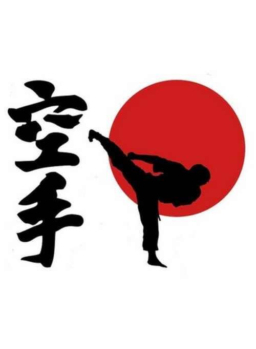 ADHESIVO KARATE JAPON