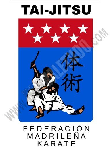 PARCHE TAI-JITSU FEDERACION MADRILEÑA KARATE SUBLIMADO 10x6cm