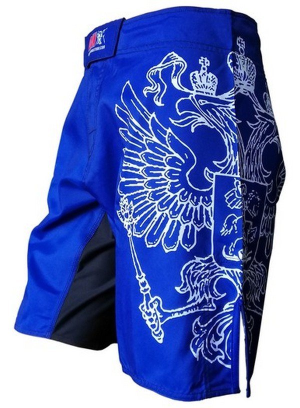 BERMUDA DAN COMBAT SAMBO EAGLES AZUL - Imagen 2