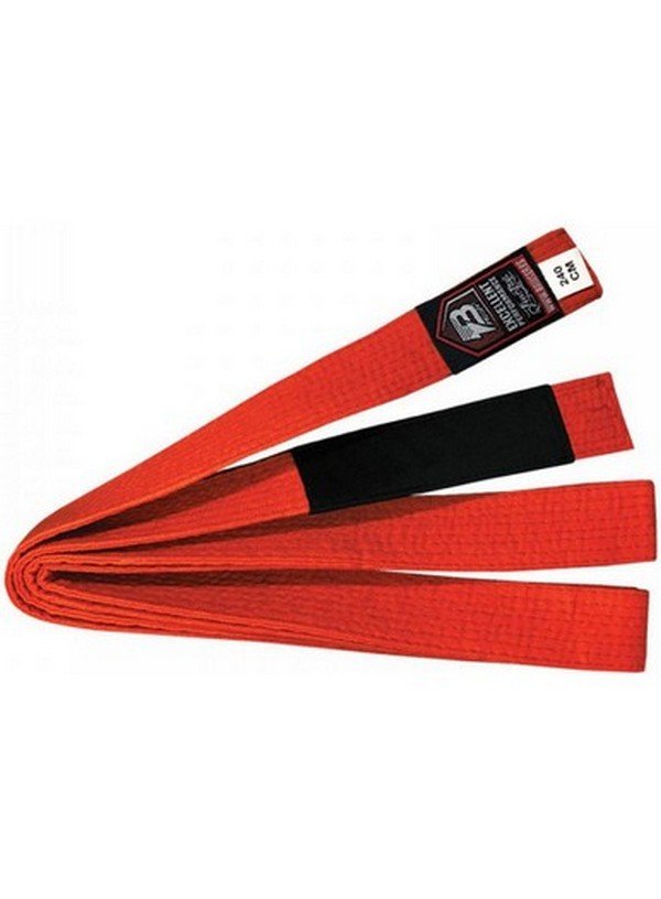 CINTURON BJJ SPORT PLUS INFANTIL IBJJF BICOLOR - Imagen 14