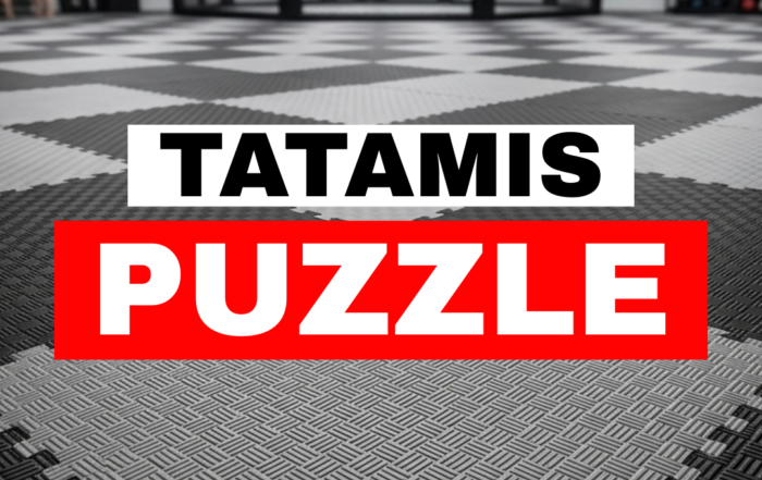 TATAMIS DE PUZZLE EN DANvaletudo