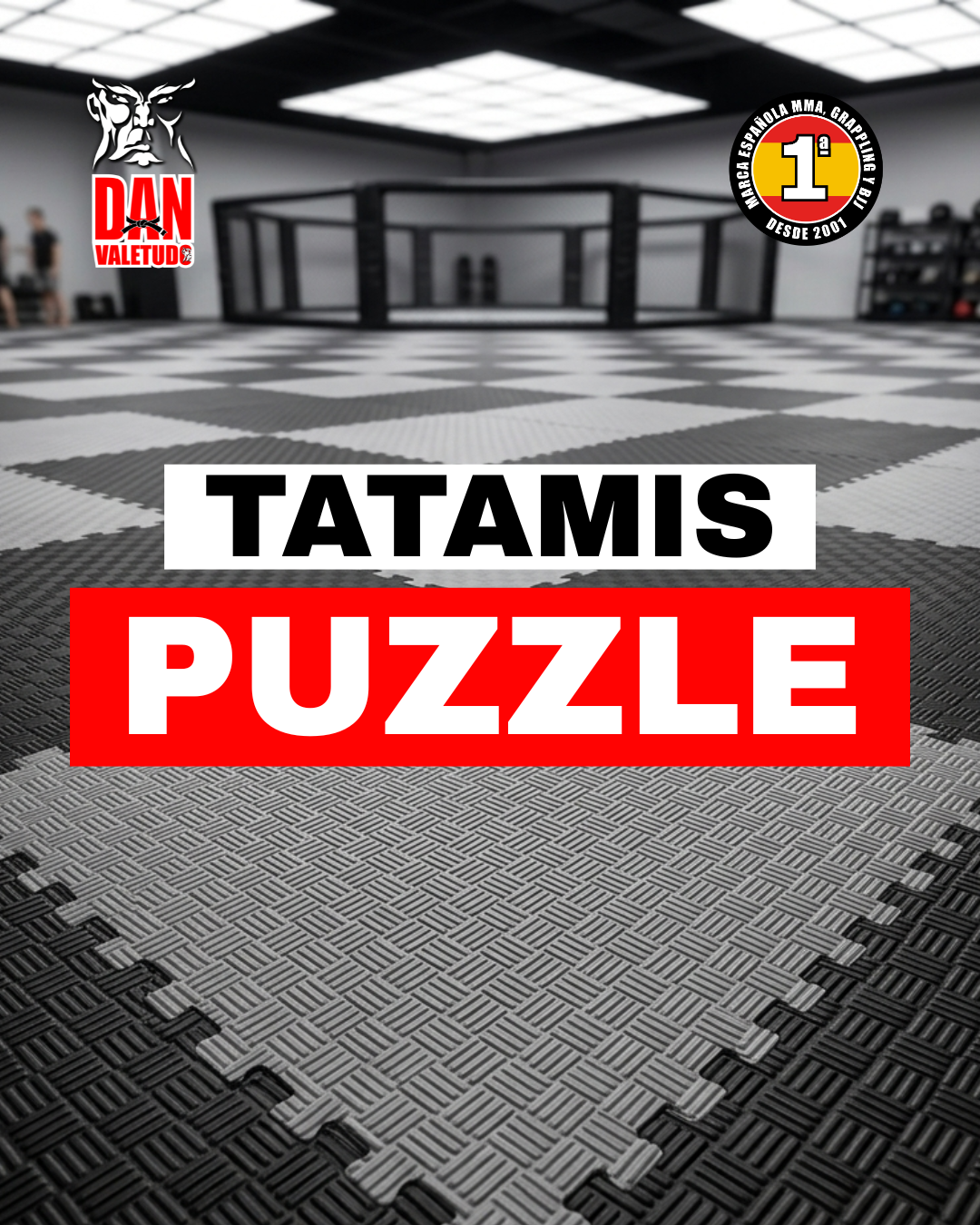 TATAMIS DE PUZZLE EN DANvaletudo