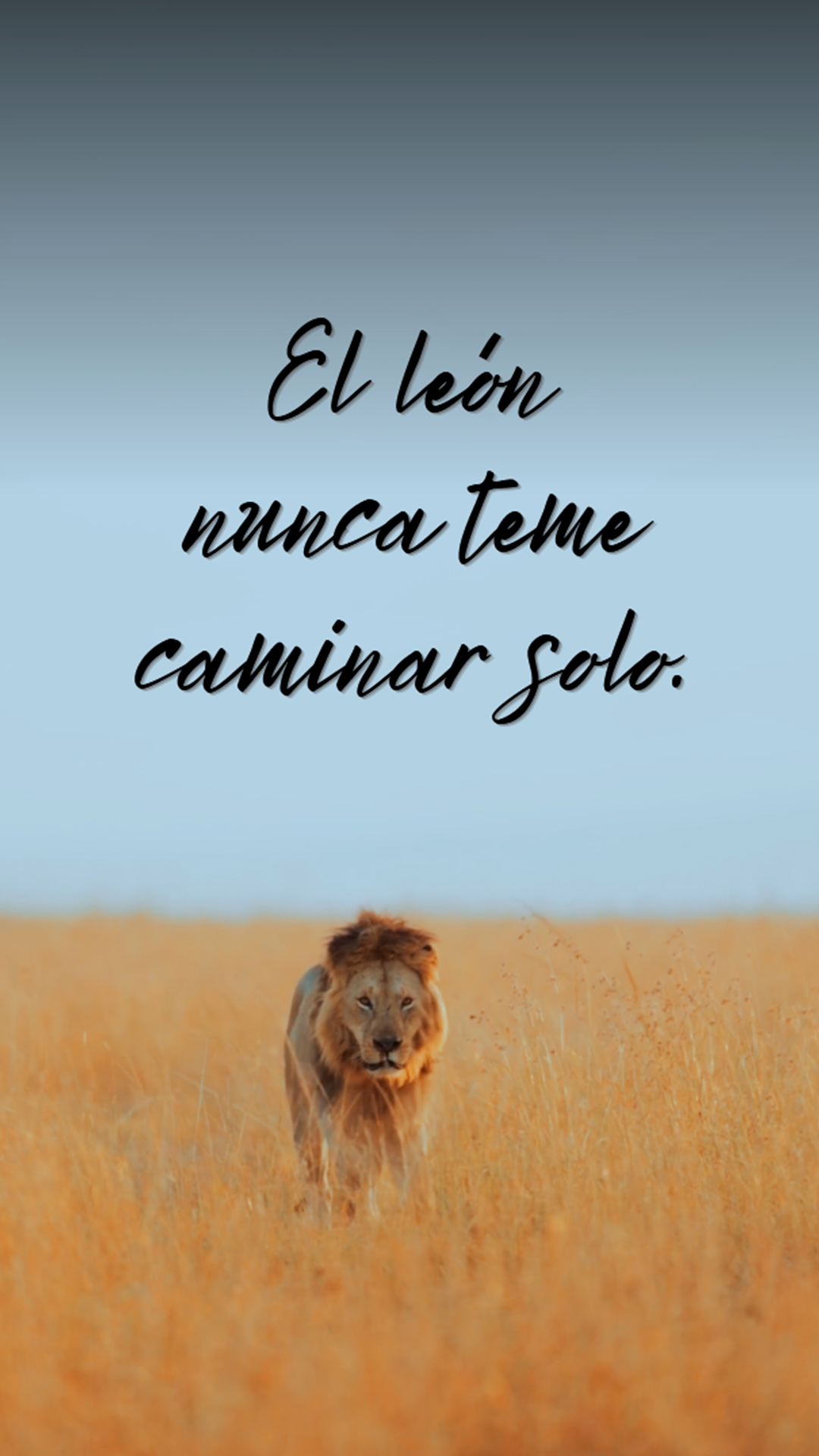 Ya suena el rugido de lo que está por llegar a DANvaletudo.