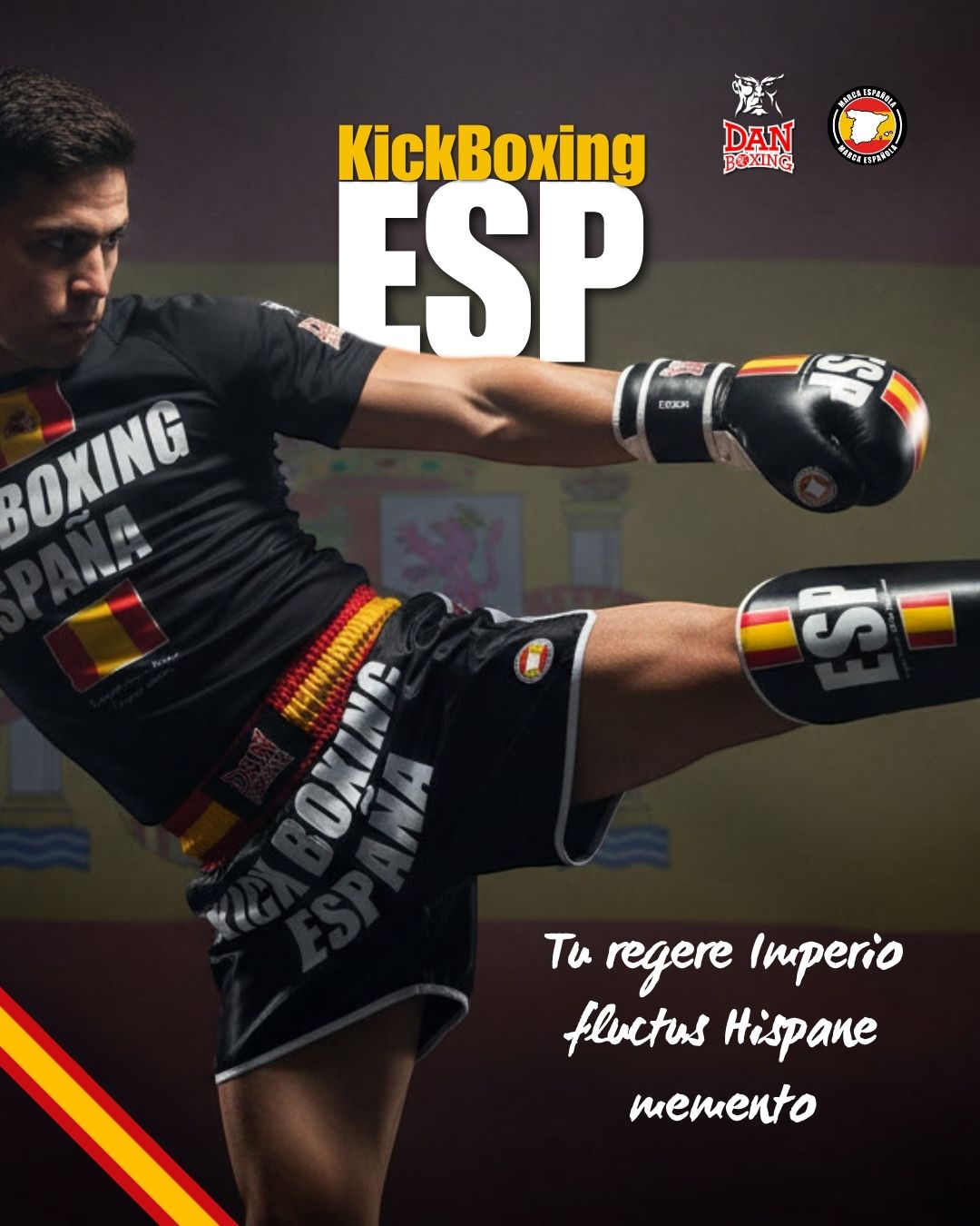 NUEVOS PRODUCTOS DAN ESP PARA KICK BOXING