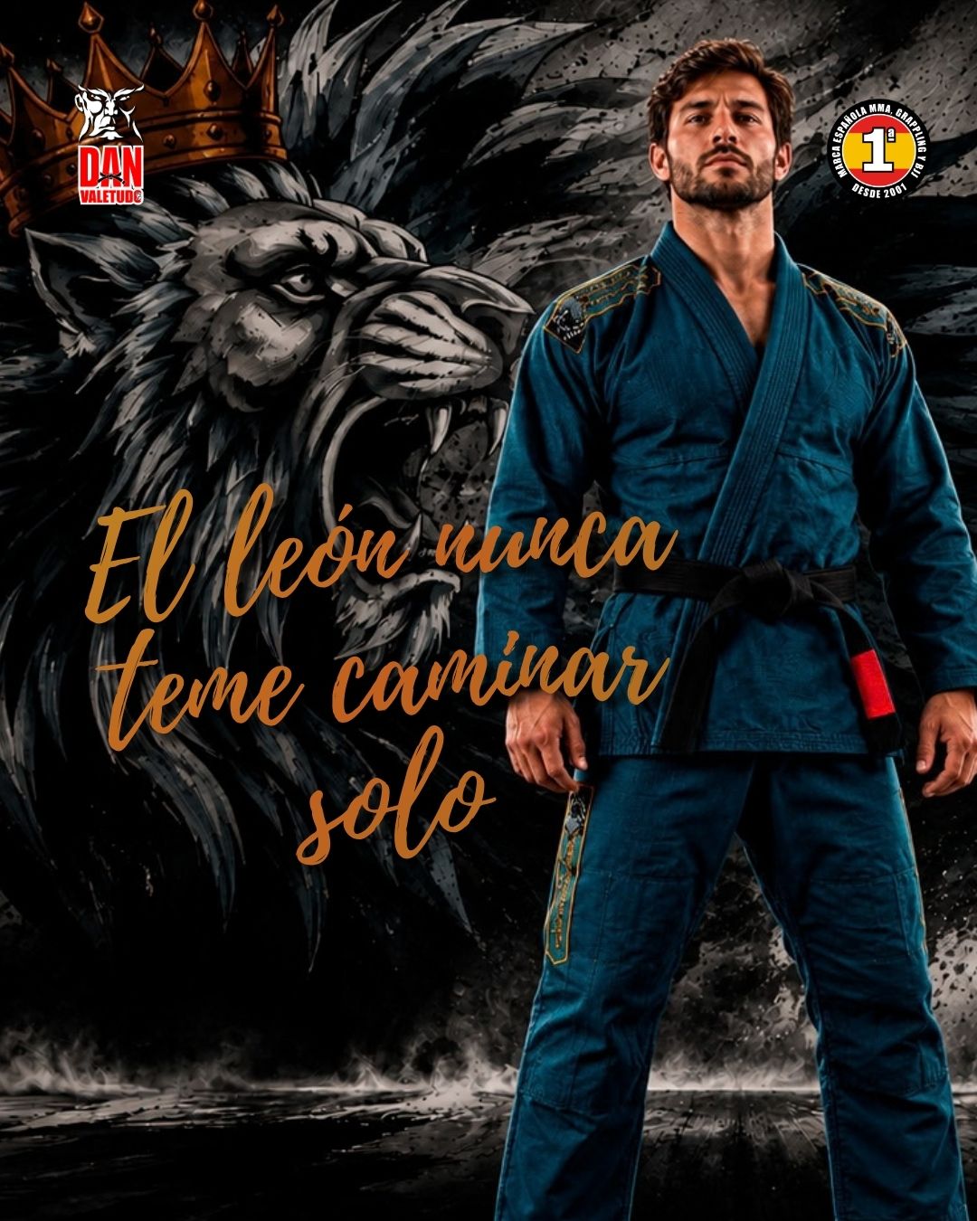 NUEVOS KIMONOS DANvaletudo EFÍGIE
